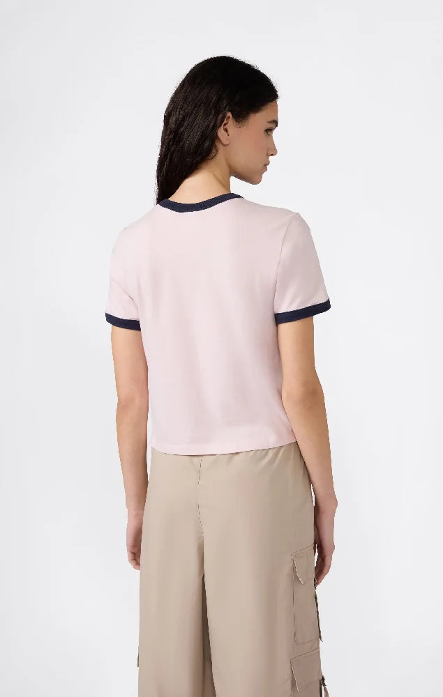 CHAMPION  118533-PS222