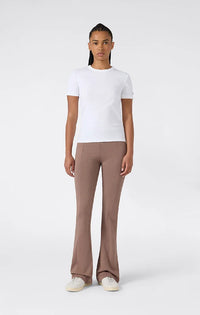 CHAMPION  118853-MS513