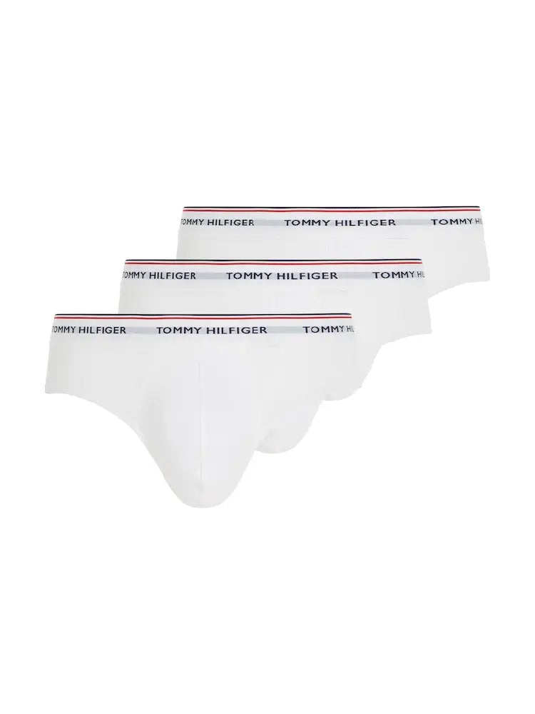 TOMMY HILFIGER  1U87903766-100