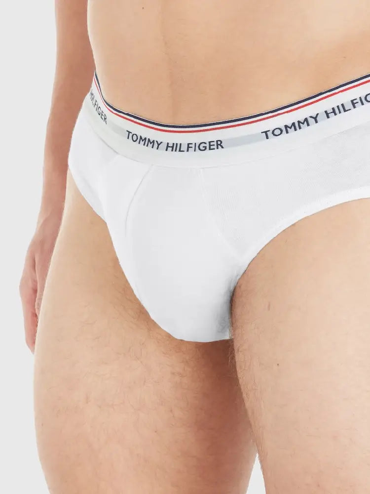 TOMMY HILFIGER  1U87903766-100