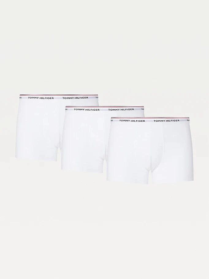 TOMMY HILFIGER  1U87903841-100