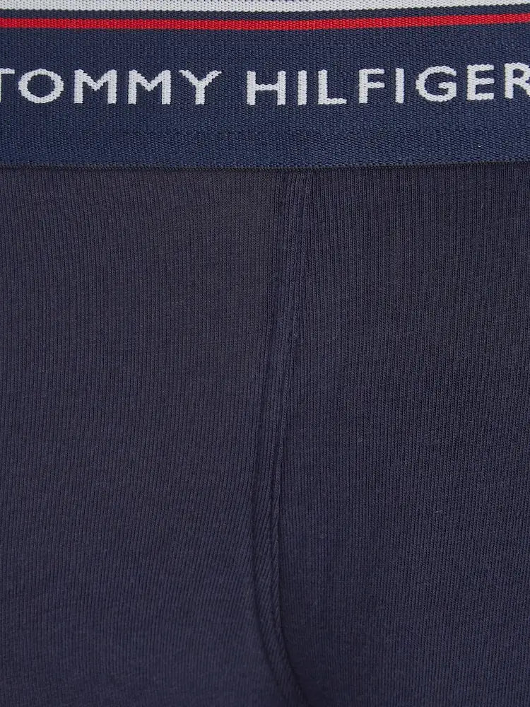 TOMMY HILFIGER  1U87903841-409