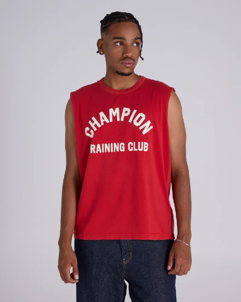 CHAMPION  222032-RS081