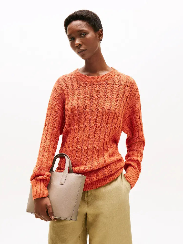 TOMMY HILFIGER  AW0AW17448-AFE