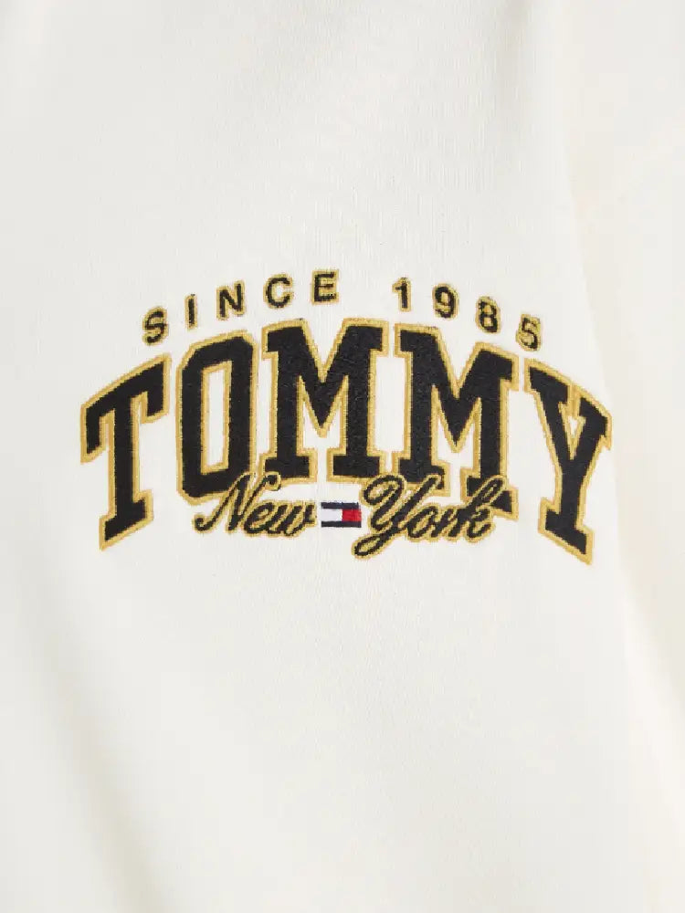 TOMMY JEANS  DM0DM17801-YBH