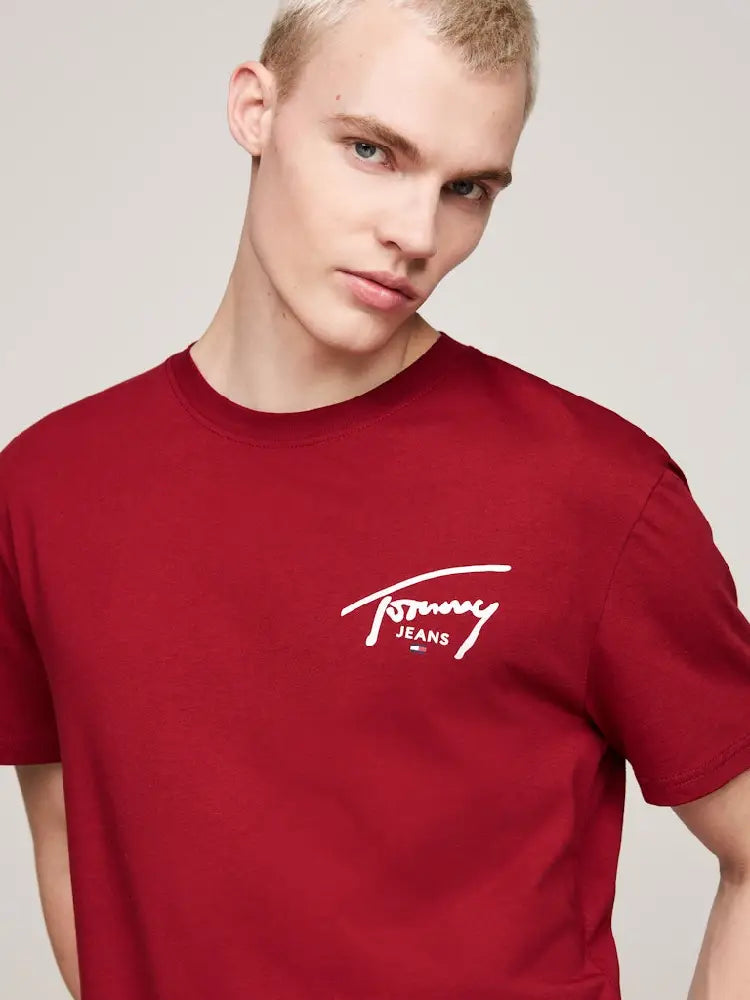 TOMMY JEANS  DM0DM18536-XIT