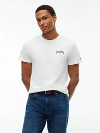TOMMY HILFIGER  DM0DM23558-YBH