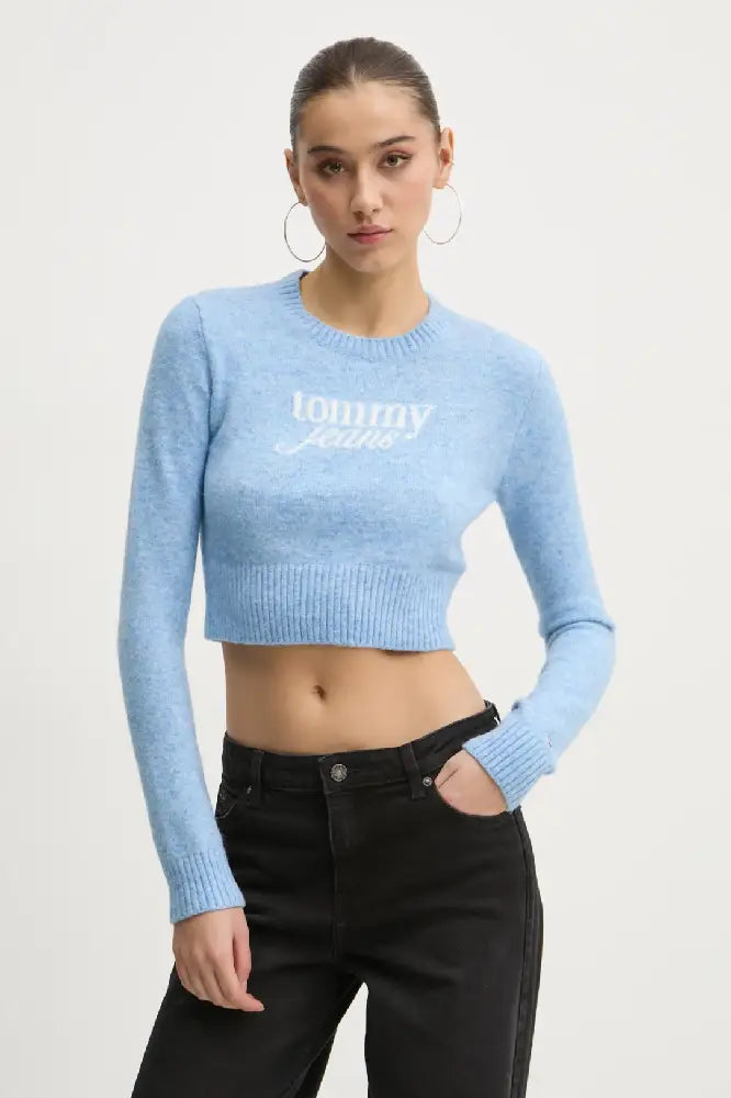 TOMMY JEANS  DW0DW19895-C12