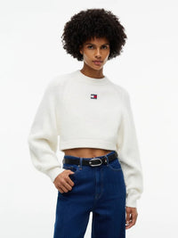 TOMMY HILFIGER  DW0DW22024-YBH