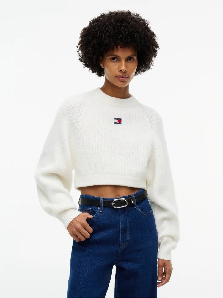 TOMMY HILFIGER  DW0DW22024-YBH
