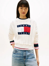 TOMMY JEANS  DW0DW22317-YBH