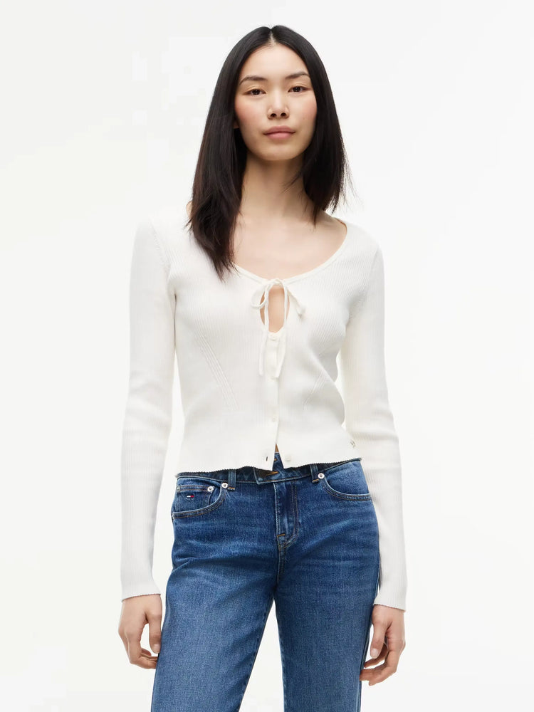 TOMMY HILFIGER  DW0DW23347-YBH