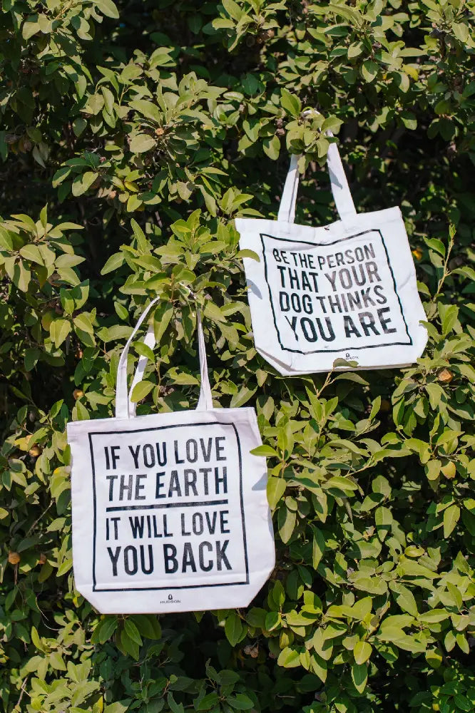 HUDSON  HTOTEBAG-EARTH
