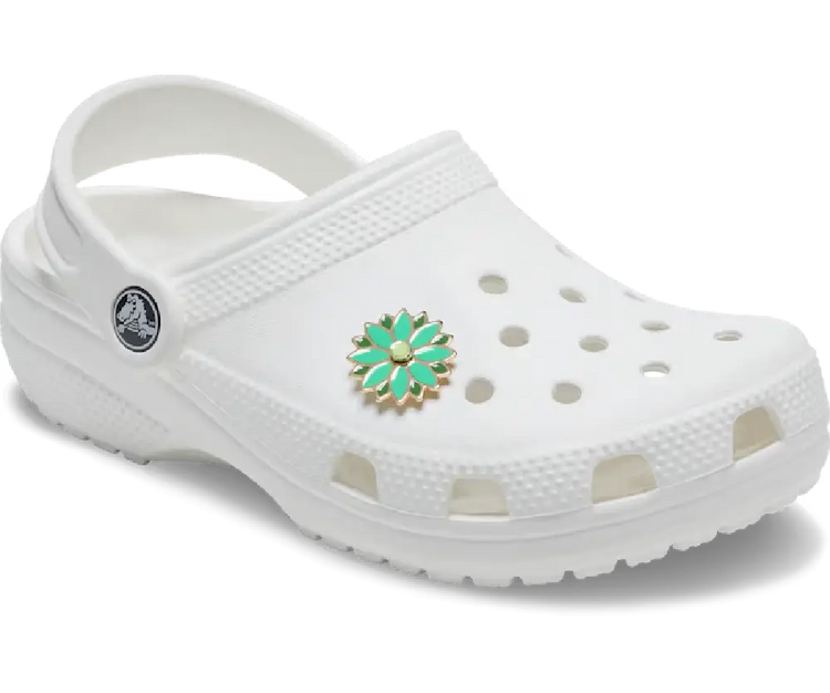 CROCS  J10013822