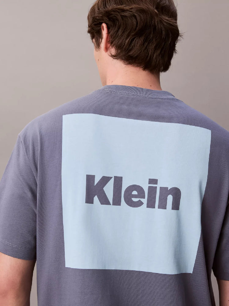 CALVIN KLEIN  LV04RD813G-CVJ