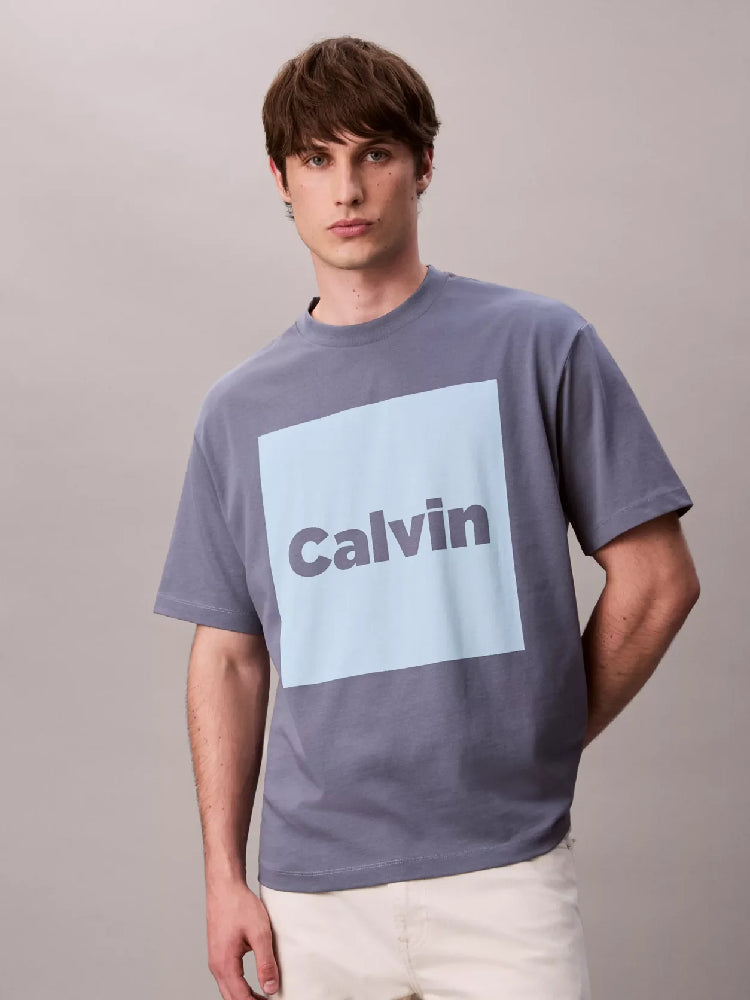 CALVIN KLEIN  LV04RD813G-CVJ
