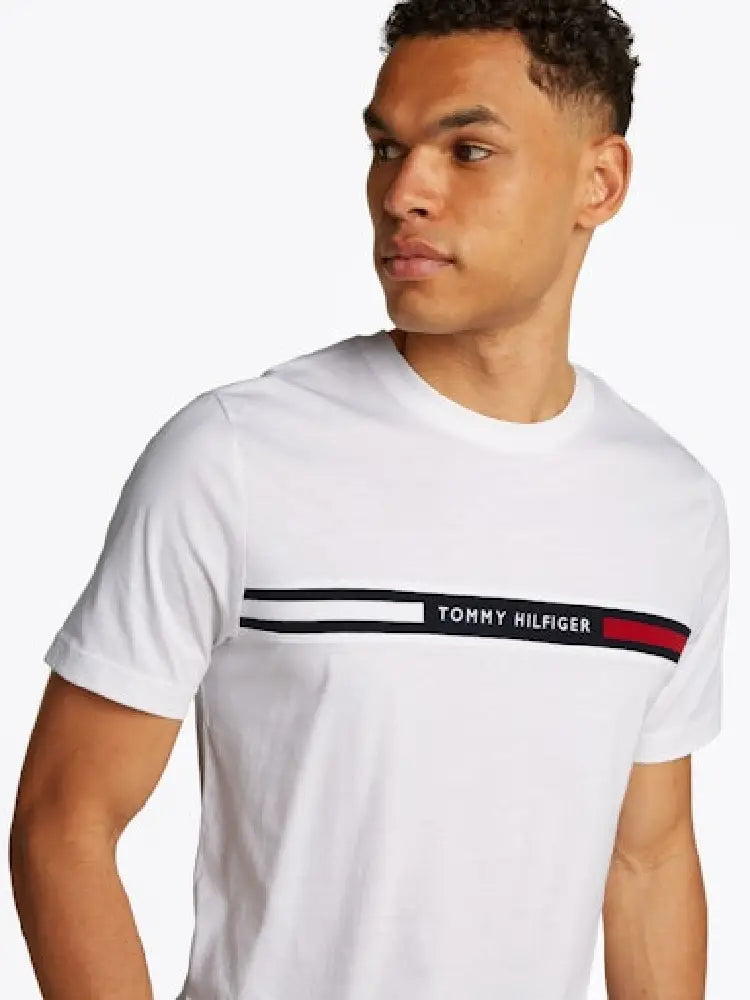 TOMMY HILFIGER  MW0MW36498-YBR