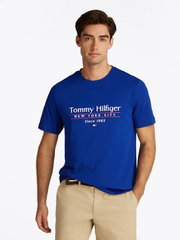 TOMMY HILFIGER  MW0MW38621-D03