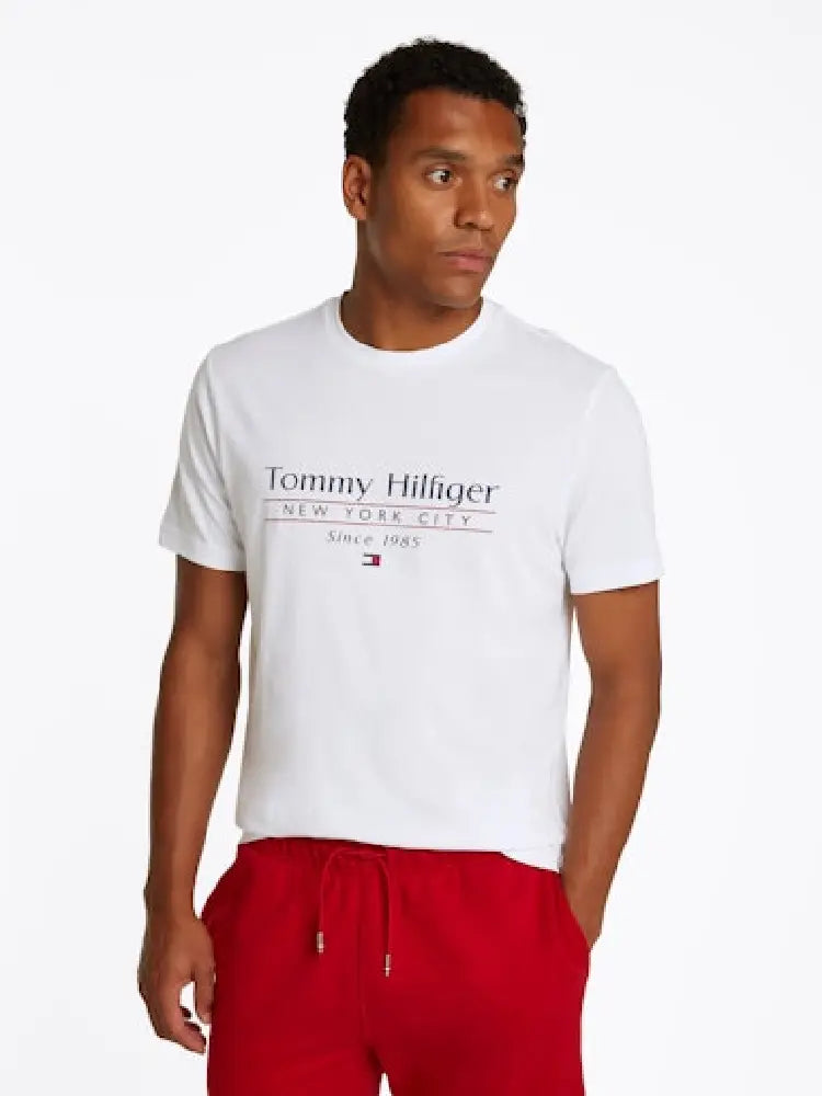 TOMMY HILFIGER  MW0MW38621-YBR