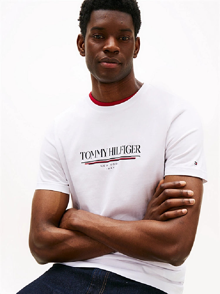 TOMMY HILFIGER  MW0MW40004-YBR
