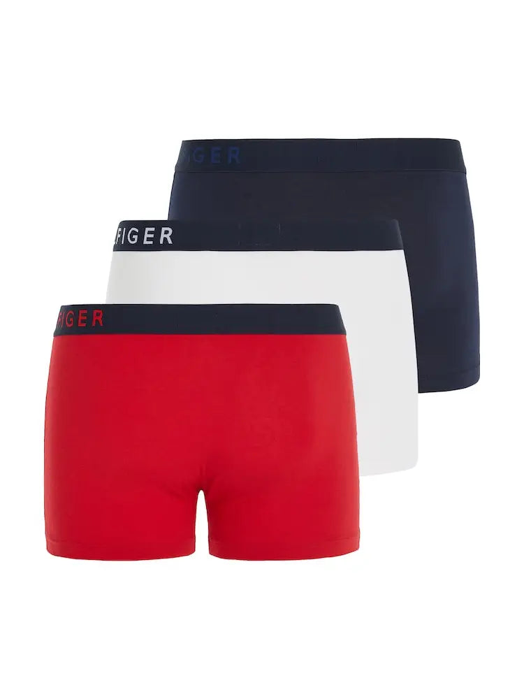 TOMMY HILFIGER  UM0UM01234-0XY