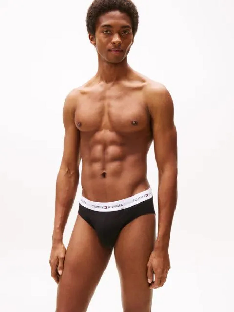 TOMMY HILFIGER  UM0UM03471-0XK