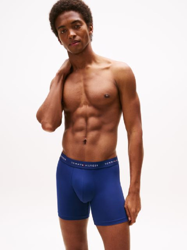 TOMMY HILFIGER  UM0UM03618-0XF