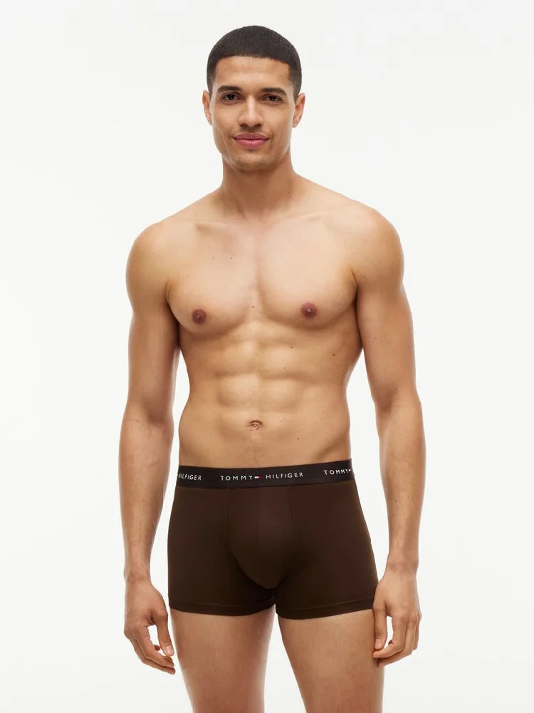 TOMMY HILFIGER  UM0UM03877-09I