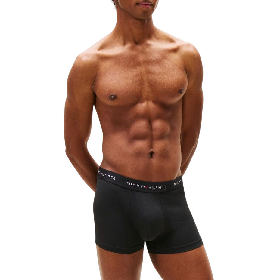 TOMMY HILFIGER  UM0UM03617-0XK