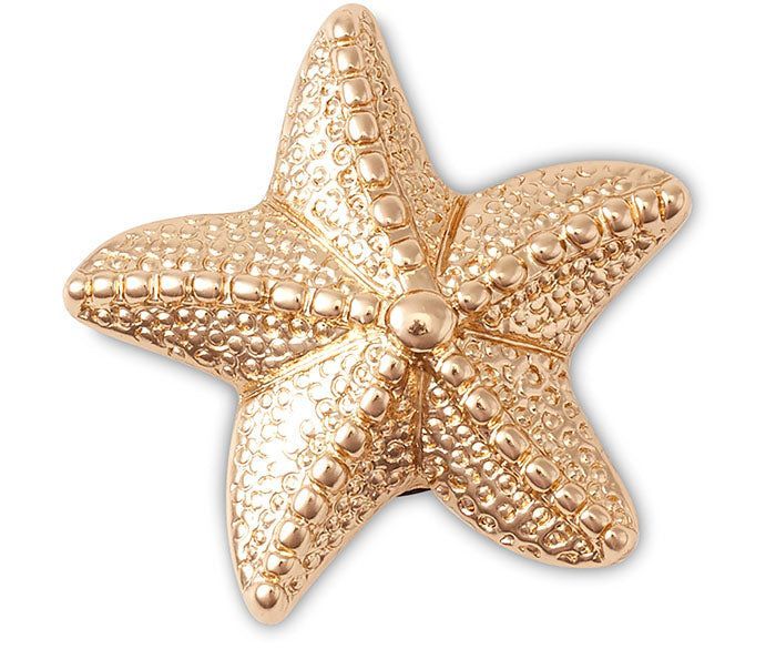 Crocs Jibbitz Gold Star